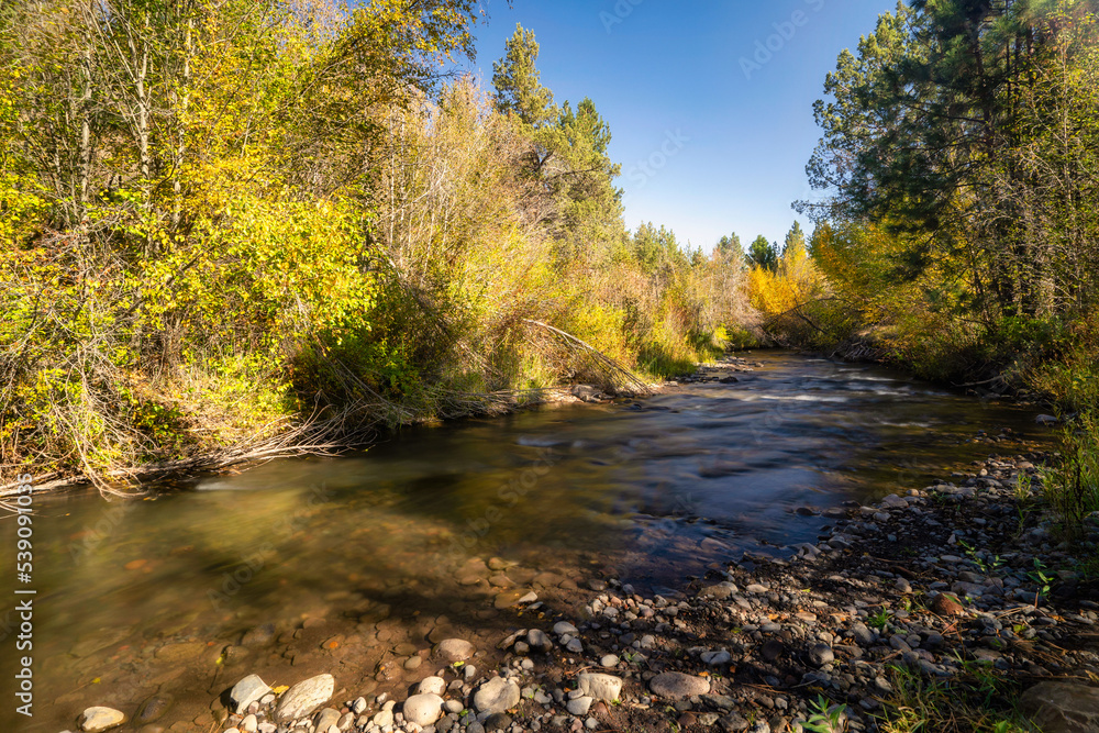 Fall Color Leaves and Trees surrounding Whychus Creek in Oregon Fall Color Leaves and Trees surrounding Whychus Creek in Oregon