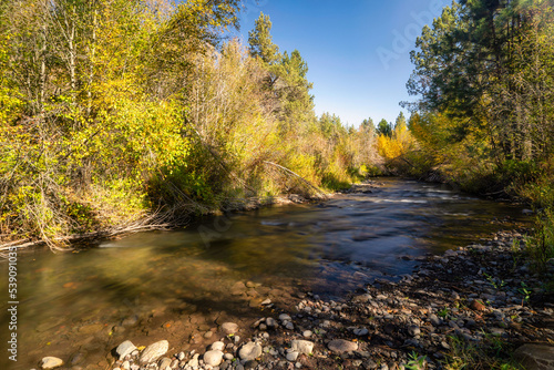 Fototapeta Naklejka Na Ścianę i Meble -  Fall Color Leaves and Trees surrounding Whychus Creek in Oregon