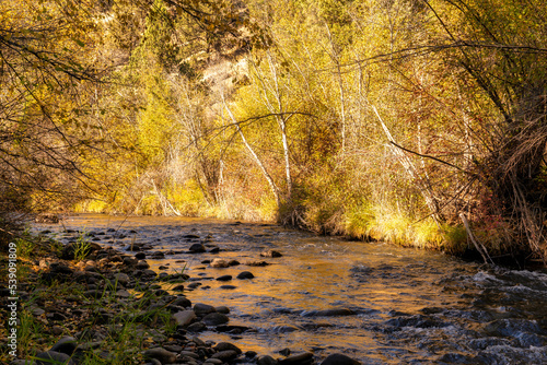 Fall Color Leaves and Trees surrounding Whychus Creek in Oregon photo