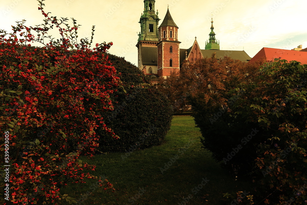 Krakowski Wawel, Kraków