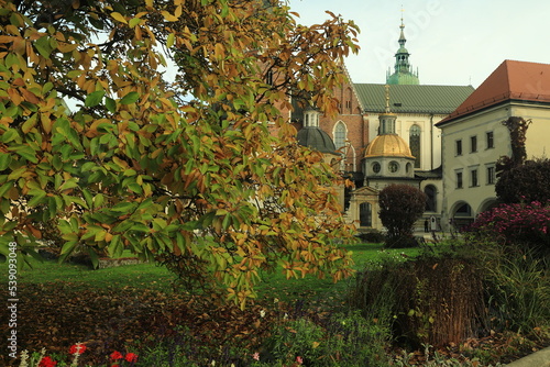 Krakowski Wawel, Kraków