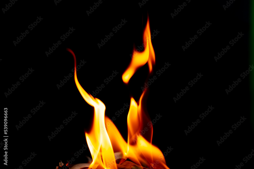 fire flame burn in dark background