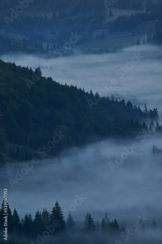 Landscape of a valley covered by mist in the early autumn morning