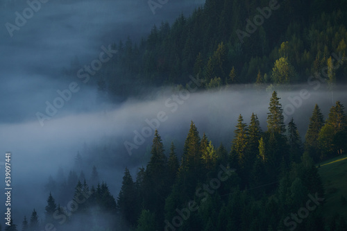 Mountain valley partially covered by fog in an autumn early morning