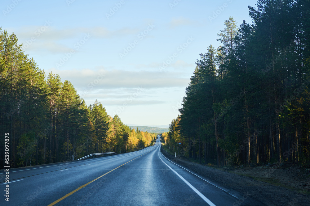 Fototapeta premium Highway through the autumn forest. Autumn forest highway