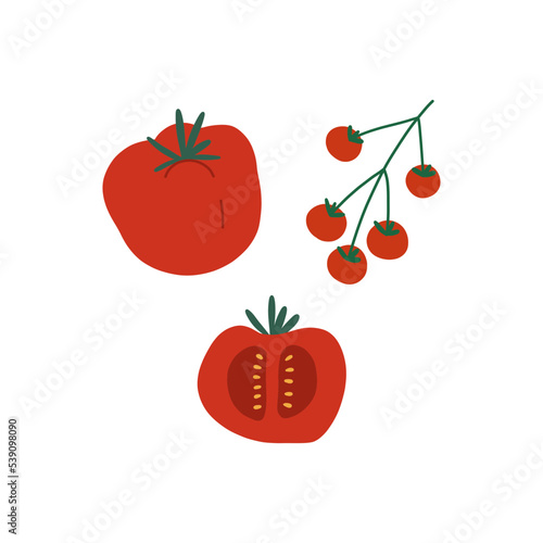 Hand draw Tomatos.Healthy vegetarian vegetable.Fresh organic natural eating