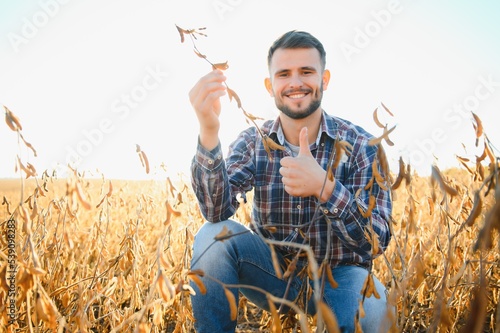 Agronomist inspects soybean crop in agricultural field - Agro concept - farmer in soybean plantation on farm.