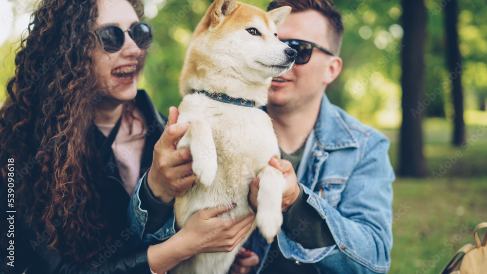 Obraz premium Joyful young people are playing with beautiful dog in the park having fun and laughing. Pretty girl with long curly hair is wearing leather jacket, guy is in modern denim jacket.