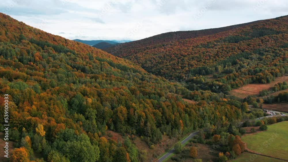 Aerial Of Autumn Leaves Paved Road On A Mountain Full Of Trees Aerial Of Autumn Leaves Paved Road On A Mountain Full Of Trees