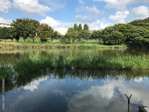 湖沼の風景