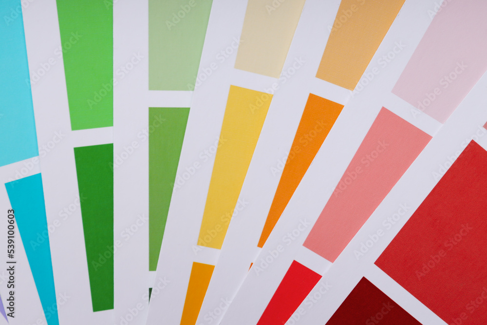 Naklejka premium Concept of colors for design, color palettes