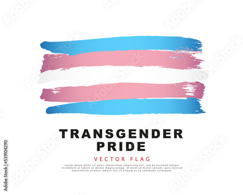 Blue, pink and white brush strokes drawn by hand. Flag of transgender pride. Sexual identification.