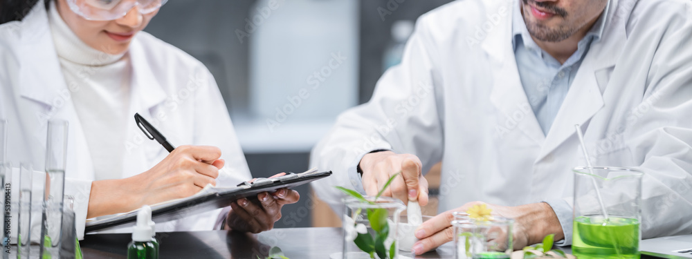 medicine chemical research with organic nature herbal plant in science laboratory, cosmetic extract liquid chemistry oil in glassware, leaf biology of beauty medicals care serum product experiment medicine chemical research with organic nature herbal plant in science laboratory, cosmetic extract liquid chemistry oil in glassware, leaf biology of beauty medicals care serum product experiment