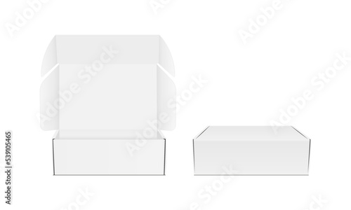 Two Blank Packaging Boxes, Opened and Closed, Front View, Isolated on White Background. Vector Illustration