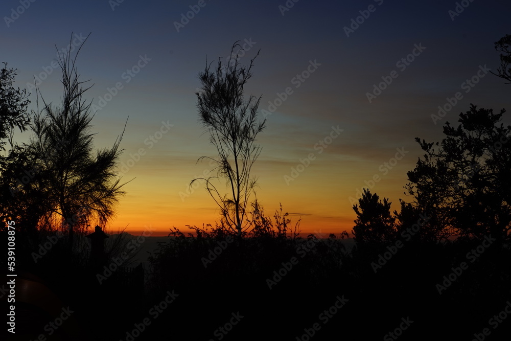 Cloudy orange blue sunrise over dark silhouettes of trees. Evening view. High quality photo. Raw