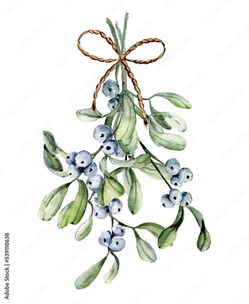 Christmas card design. Watercolor illustration. Mistletoe on white background. Hand painting winter holidays compositions.