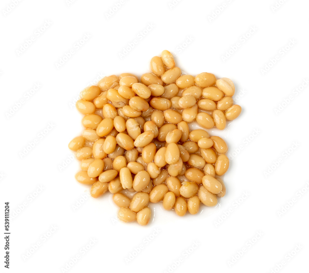 White Kidney Beans Isolated White Kidney Beans Isolated