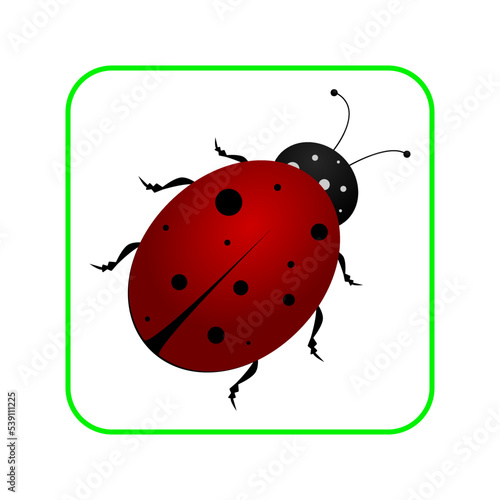 Ladybug small icon. Red lady bug sign isolated on white background. Wildlife animal design. Cute colorful ladybug. Symbol of nature, spring, summer. Vector illustration © Marat