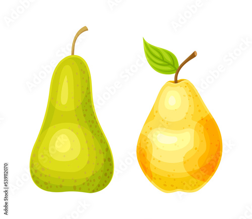 Whole Ripe Pear Pomaceous Fruit as Organic Garden Crop Vector Set