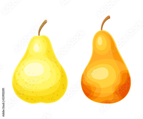 Whole Ripe Pear Pomaceous Fruit as Organic Garden Crop Vector Set
