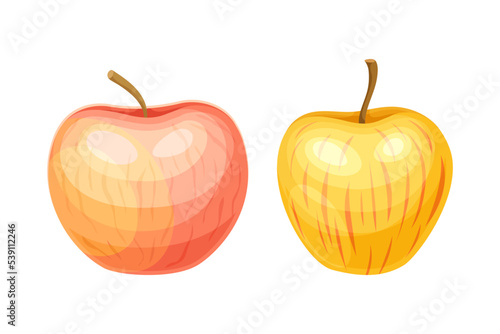 Whole Ripe Apple Fruit as Organic Garden Crop Vector Set