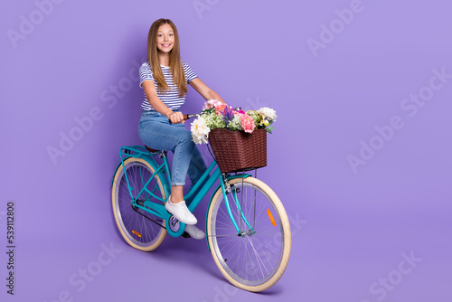 Full length photo of optimistic satisfied nice girl dressed striped t-shirt jeans riding bicycle isolated on purple color background © deagreez