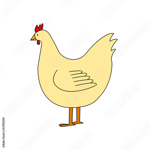Cute farm hen isolated on white background. Vector illustration of chicken