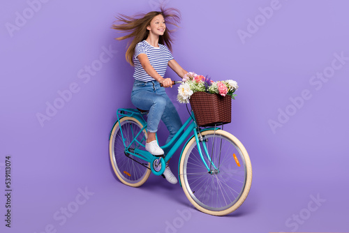 Full length photo of positive cheerful girl wear striped t-shirt jeans riding bicycle wind blow hair isolated on purple color background