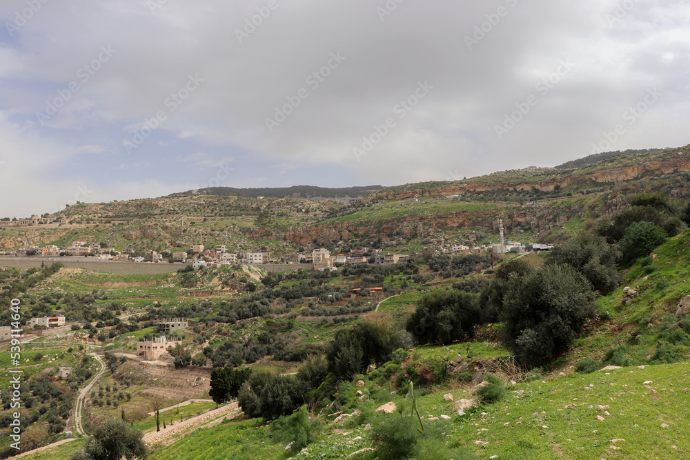 Amman, Jordan : spring in Adsiya Village (Dead Sea road)