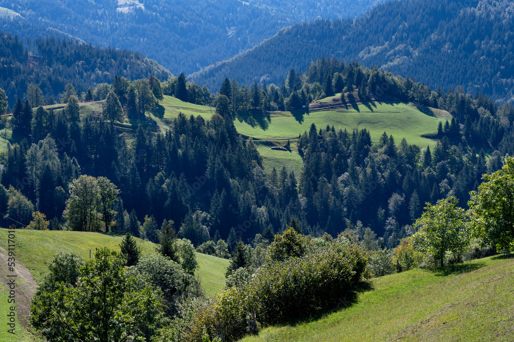 Paysage de montagne dans les Alpes slovènes autour du village de Spodnje Danje en été