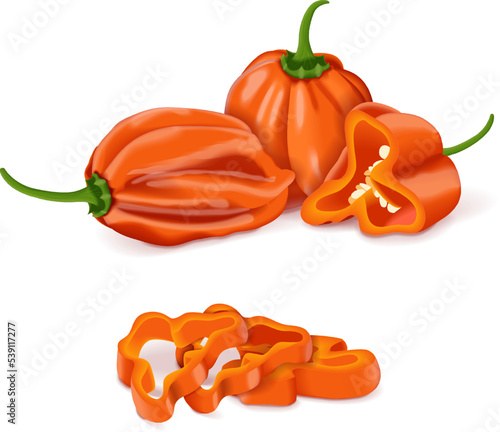 Whole, quarter, slices, and wedges of orange habanero chili peppers. Capsicum chinense. Heat chili pepper. Fresh organic vegetables. Vector illustration isolated on white background.