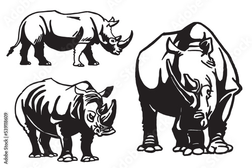 Vector set of rhinoceroses on white isolated,graphical drawing. Stylish print elements, savanna habitant © Vita