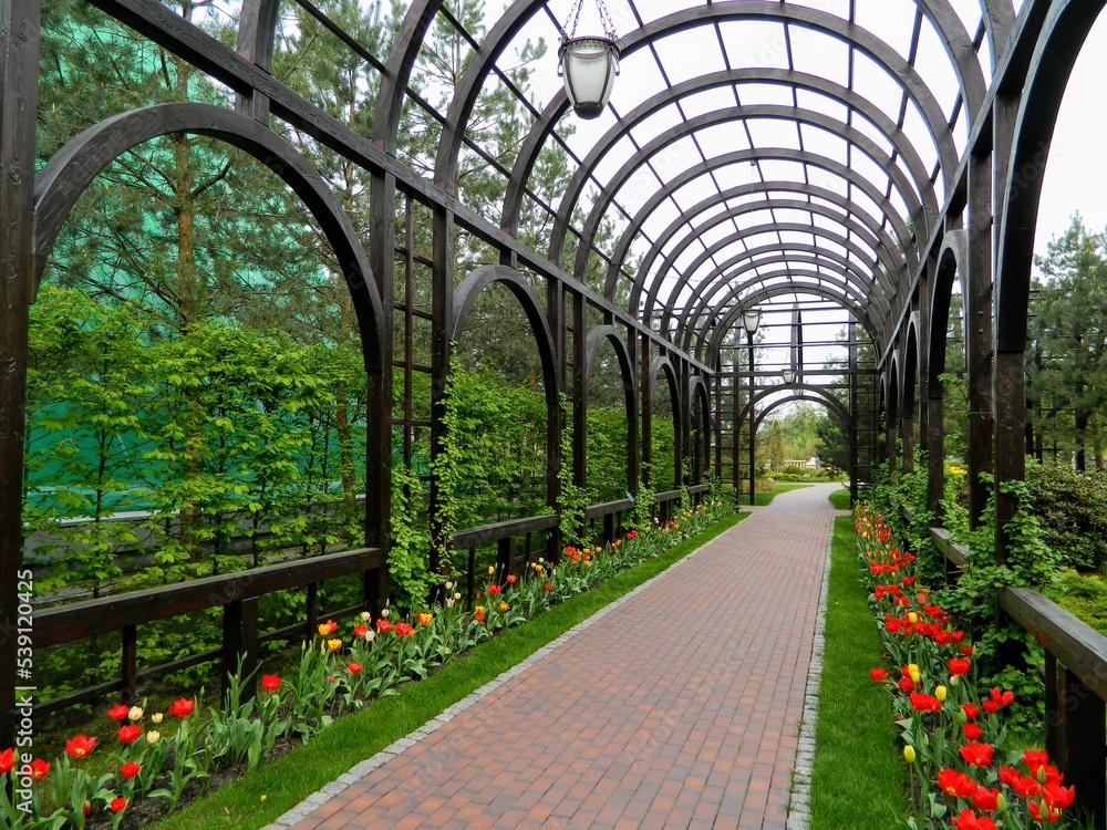 Landscape design. Park architecture. Summer landscape. High quality photo Landscape design. Park architecture. Summer landscape. High quality photo