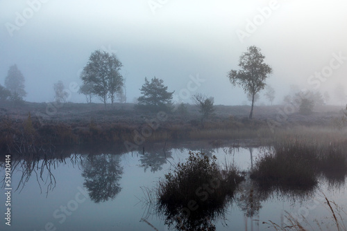 Nebliger Morgen in der Kendlmühlfilzen, ein Hochmoor bei Grassau, Bayern  photo