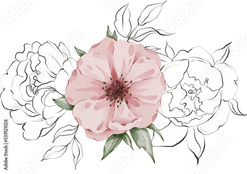 Watercolor peony composition. Floral arrangements. Hand painted clipart. Peony composition.