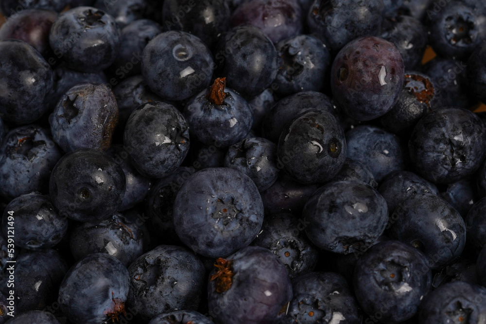 Fresh blueberry background. blueberry berries with water drops close up Fresh blueberry background. blueberry berries with water drops close up