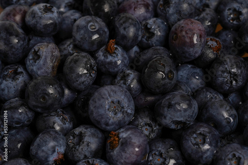 Fresh blueberry background. blueberry berries with water drops close up