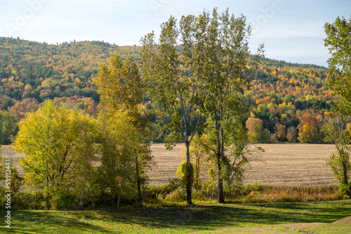 Fall Scene in the Adirondacks Mountains 