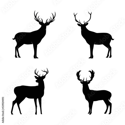 Collection of silhouettes of wild animals. The deer family