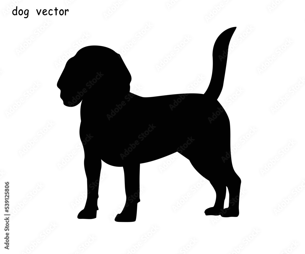 Cute cool beagle set. Silhouette of flat dog in various poses and actions. Vector illustration of domestic pet behavior