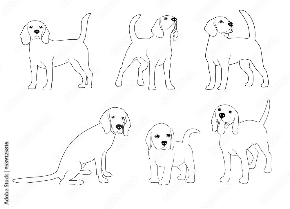 Cute cool beagle set. Collection of flat dog in various poses and actions. Vector illustration of domestic pet behavior