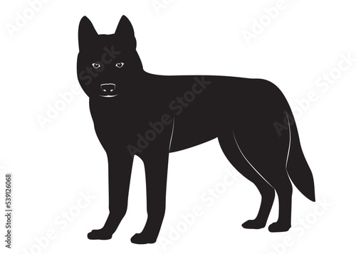 Standing dog. Black silhouette Siberian husky.Isolated background. husky dog simple black and white design - vector outline and silhouette. © SIRAPOB