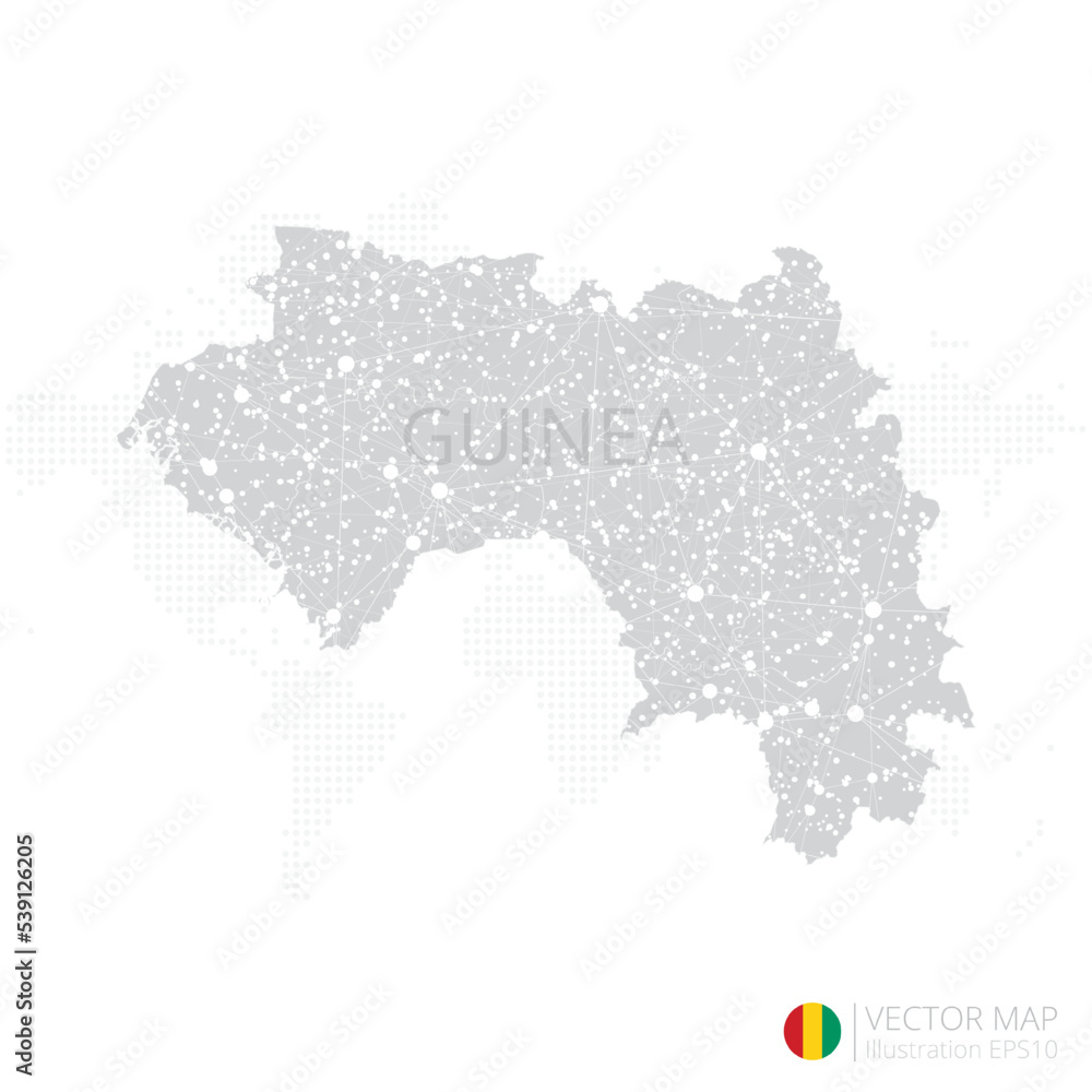 Guinea grey map isolated on white background with abstract mesh line and point scales. Vector illustration eps 10