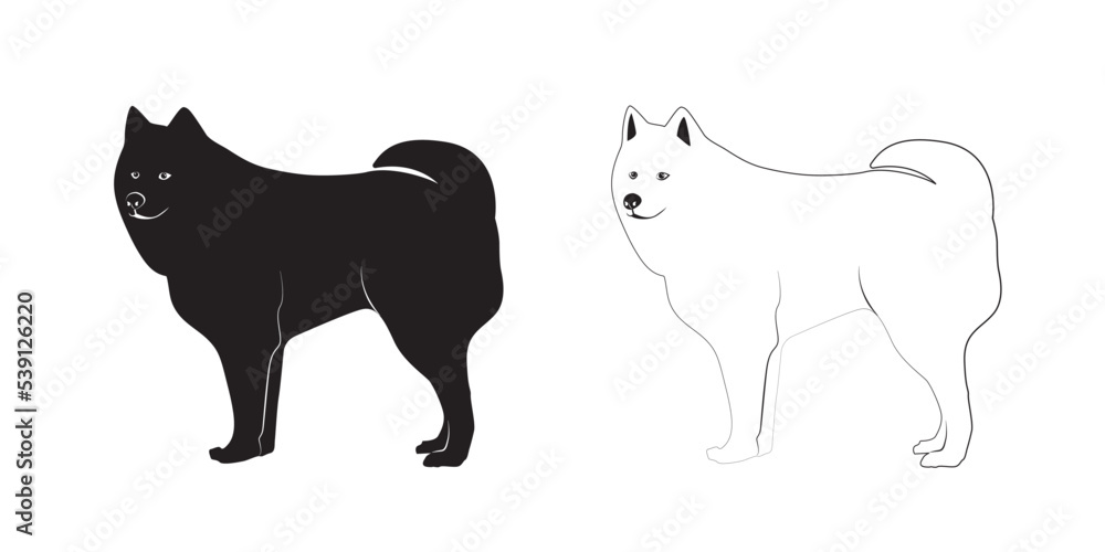 Collection of dog in various poses, white and black purebred dog animal vector Illustration on a white background