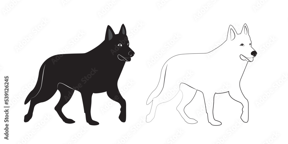 Collection of Siberian Husky in various poses, white and black purebred dog animal vector Illustration on a white background