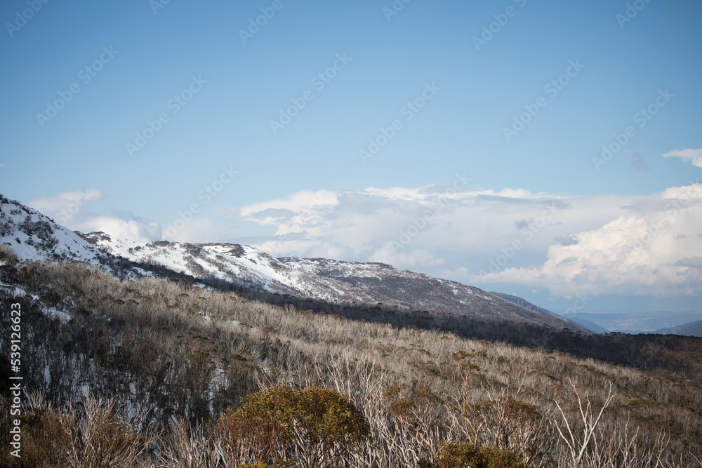 Snowy terrain Snowy terrain