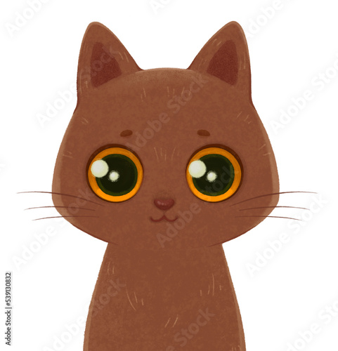 Photography Havana brown cat. Cute cat portrait. Cat breeds