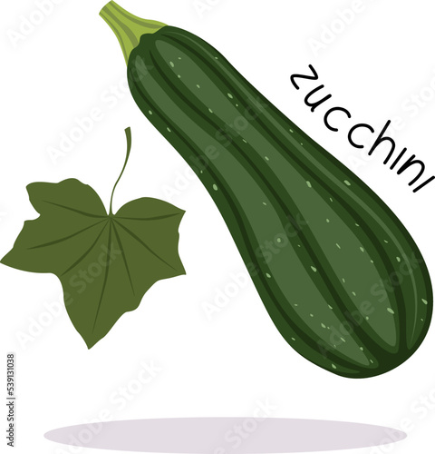 Vector illustration of a ripe green zucchini with a half of a vegetable, slices and the inscription "zucchini" in a flat style on a white background.