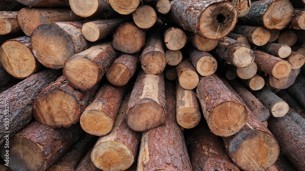 Natural Wooden Color Wood Log Natural Wooden Color Wood Log