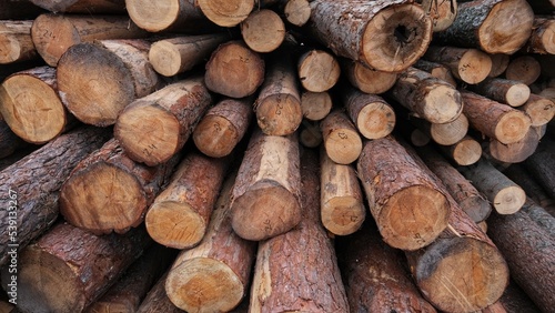 Natural Wooden Color Wood Log